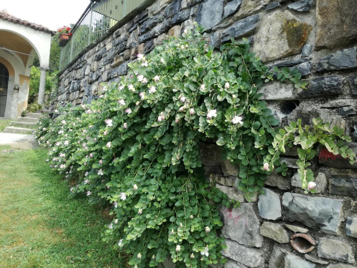 Balcone Dei Limoni Apartment เนสโซ ภายนอก รูปภาพ
